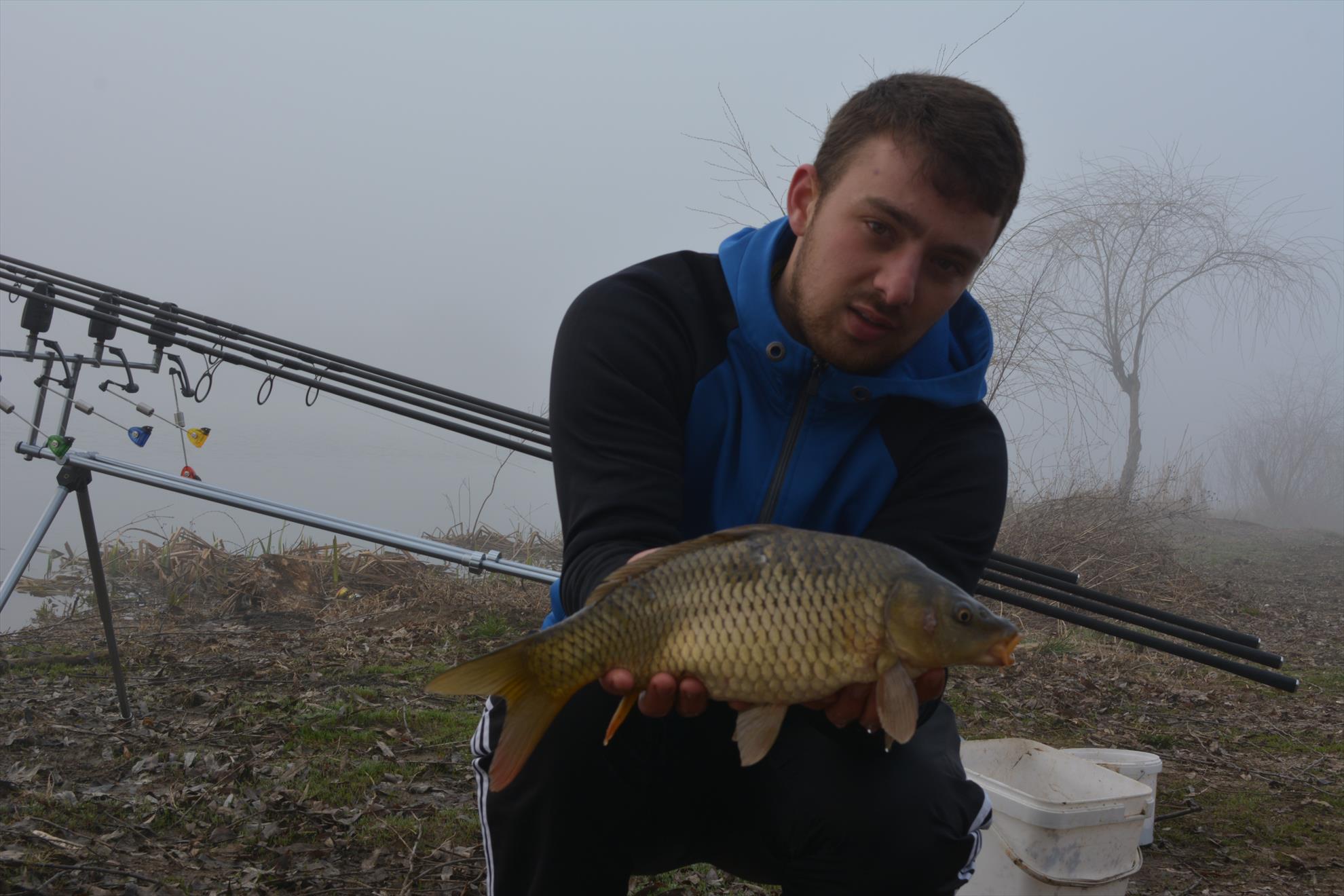 Paradisul verde Ostratu 13 martie 2015